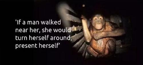 国产性奴被惩罚视频免费,正义终将到来