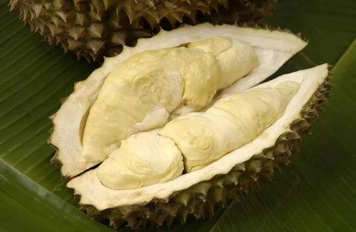 国产榴莲666元视频,品质与价格的碰撞