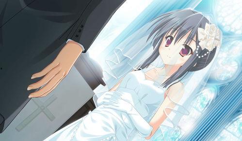 国产动漫婚纱视频  第3张