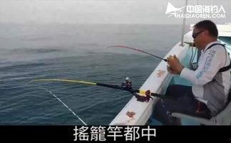 国产海钓杆测评视频大全,全方位解析与推荐