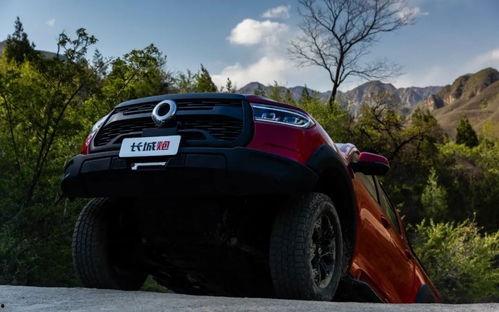 国产车能玩越野嘛视频  第1张