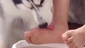 国产舔脚视频播放,揭秘背后现象与争议  第2张