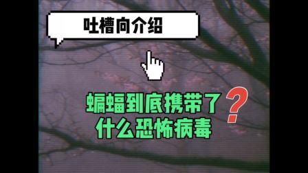国产蝙蝠视频网站在线观看,在线畅享独特视听盛宴