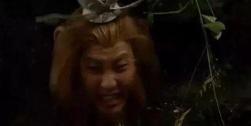 国产剧情一卡二卡视频,一卡二卡，揭秘激情四溢的视听盛宴