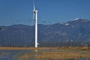 国产线路一视频区,探寻独特风情，领略民族魅力  第2张