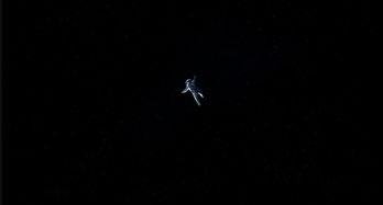 黑吊视频国产精品,探索视觉盛宴的极致魅力  第3张