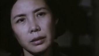 国产81视频,揭秘中国影视产业的崛起之路